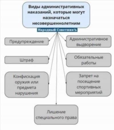 Понимание правовой основы обмана потребителей в Кодексе об административных правонарушениях