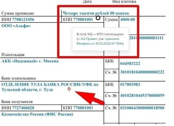 Назначение платежа и необходимые коды платежа