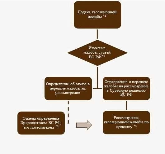 Основные сроки подачи кассационной жалобы в России