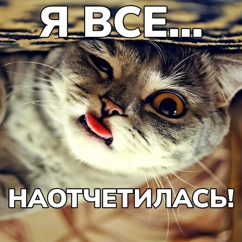Овладейте искусством юмора, чтобы смягчить оскорбления