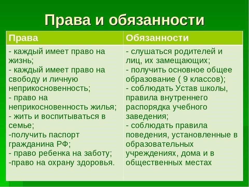 Правила проживания: Каковы ваши права и обязанности?