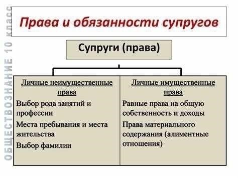 Регистрационные права супругов: Что нужно знать