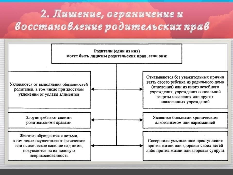 Шаги, которые необходимо предпринять для восстановления родительских прав после лишения