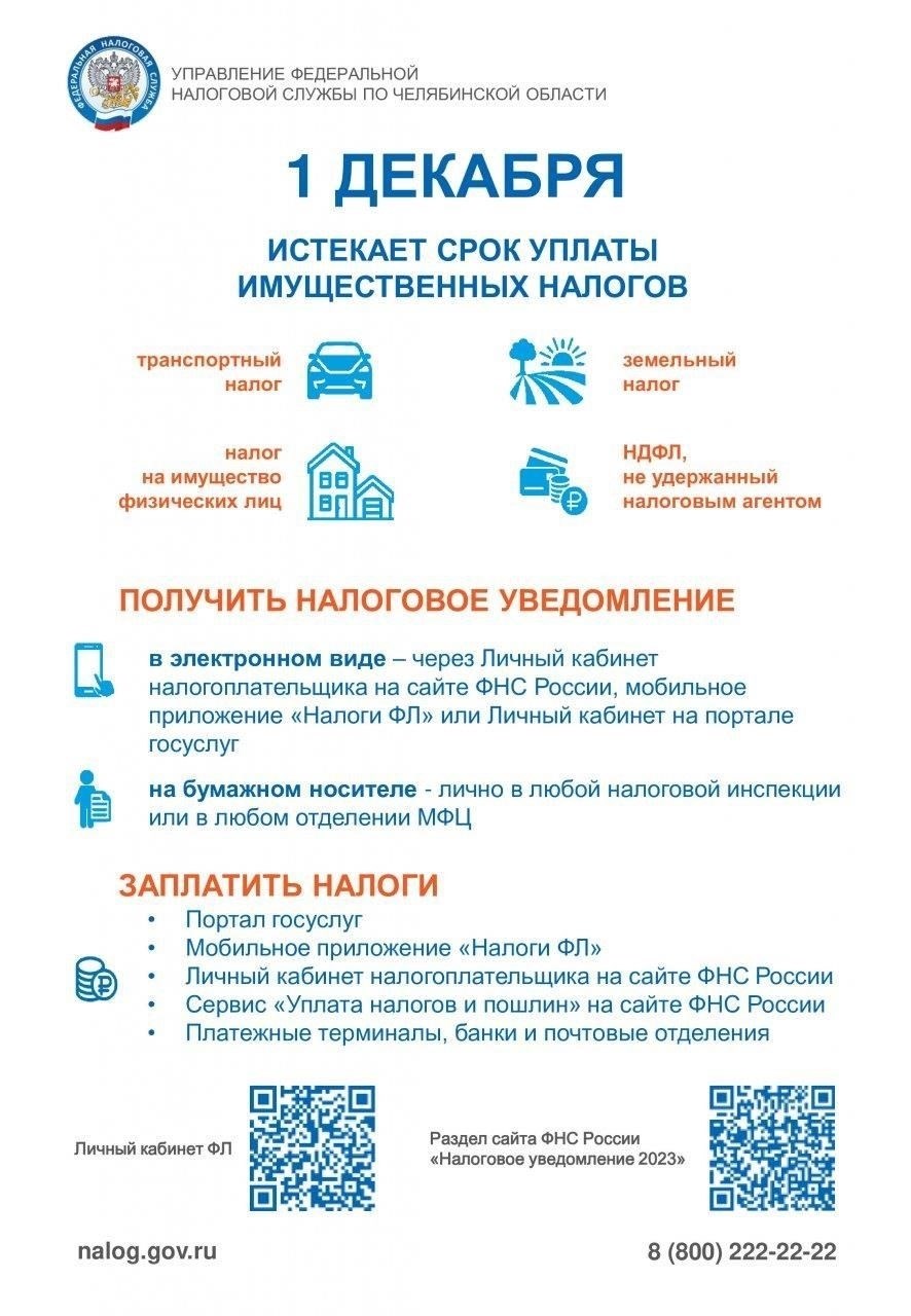 Штрафы за неуплату личных налогов
